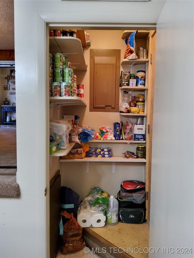 pantry with electric panel