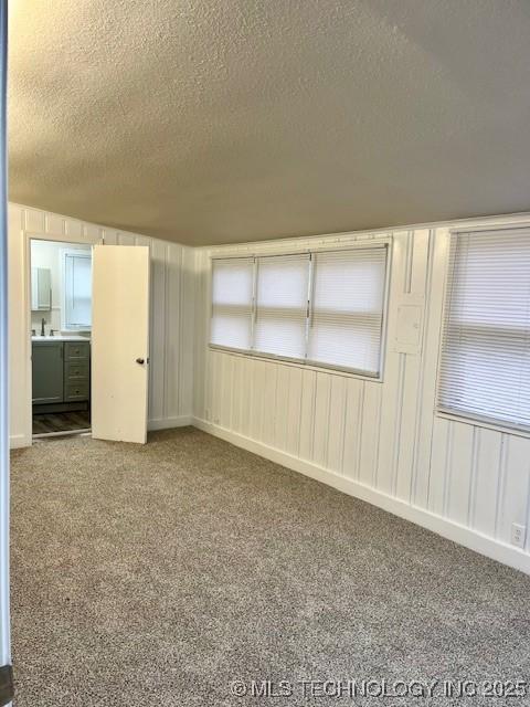 unfurnished room featuring carpet flooring, sink, and a textured ceiling