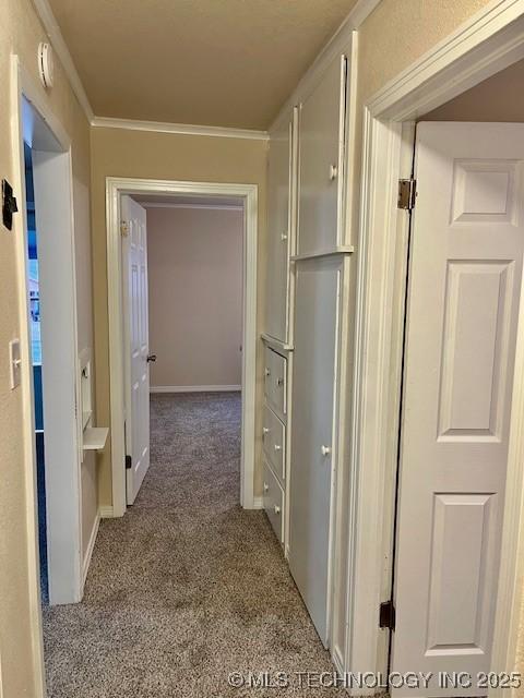 corridor with crown molding and carpet floors