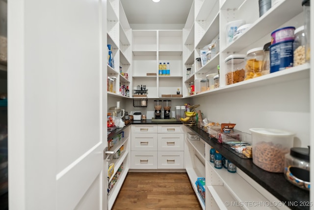 view of pantry