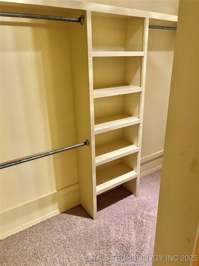 spacious closet featuring light colored carpet