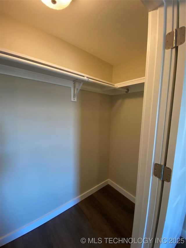 walk in closet featuring dark wood-type flooring