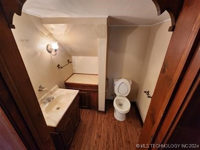 bathroom with toilet, vanity, and hardwood / wood-style flooring