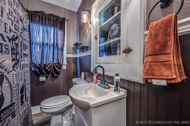 bathroom featuring wooden walls, vanity, and toilet