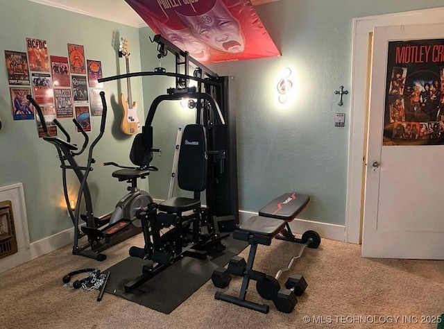 workout area featuring carpet flooring