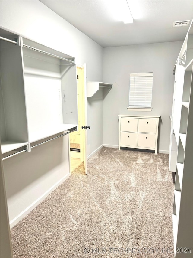 walk in closet with light colored carpet