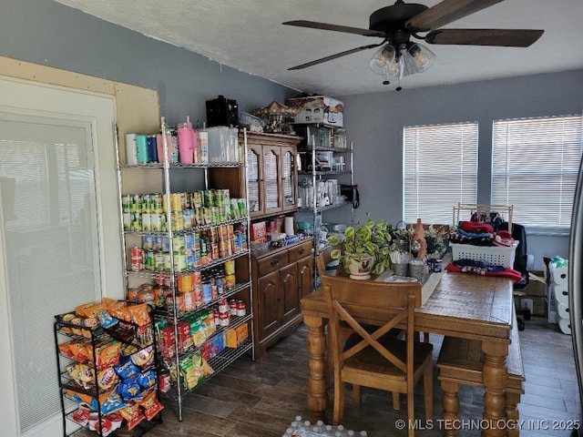 interior space featuring ceiling fan