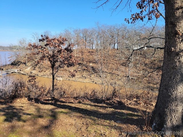 view of local wilderness featuring a water view