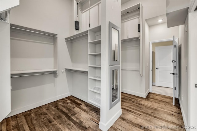 spacious closet with wood-type flooring