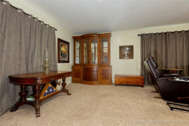 view of carpeted office