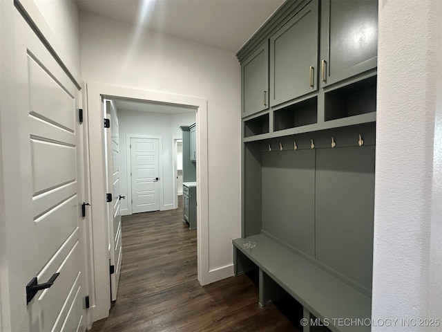 mudroom with dark hardwood / wood-style floors