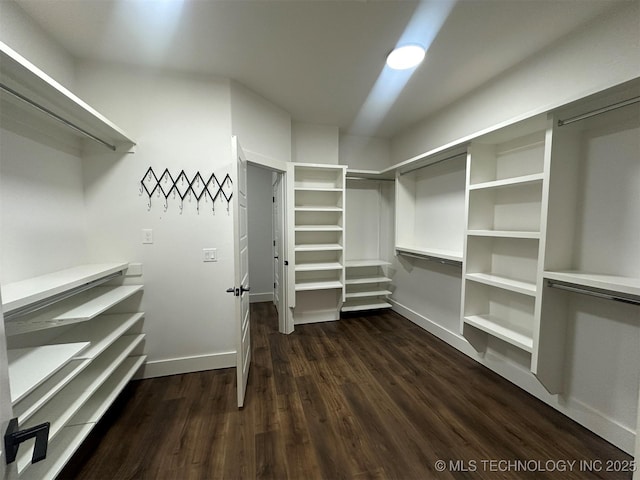 walk in closet featuring dark hardwood / wood-style flooring