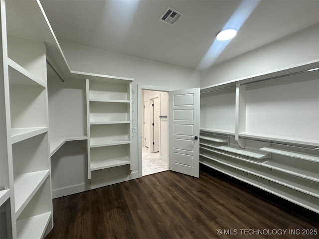 walk in closet featuring dark hardwood / wood-style floors