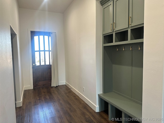 mudroom with dark wood-type flooring