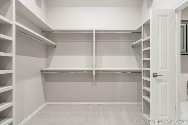 walk in closet with light colored carpet