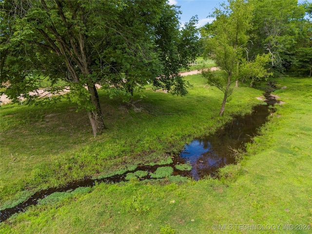 view of local wilderness with a water view