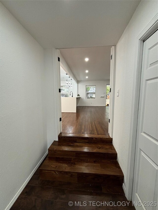 hall with dark wood-type flooring