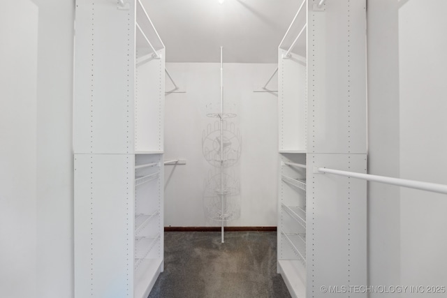 spacious closet with dark carpet