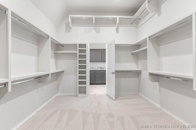 spacious closet with light carpet