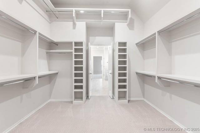 spacious closet featuring light colored carpet