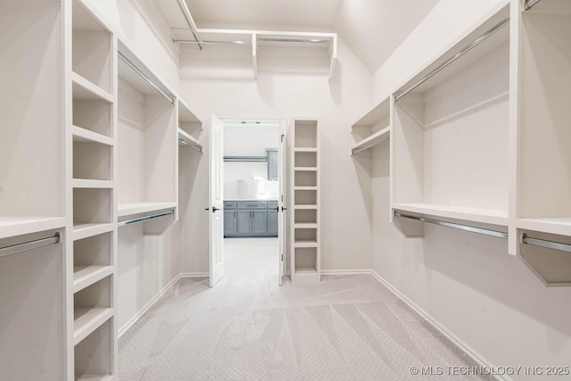 spacious closet with light carpet