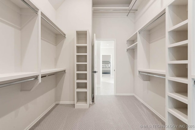 spacious closet with light carpet