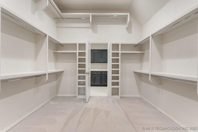 spacious closet featuring light colored carpet