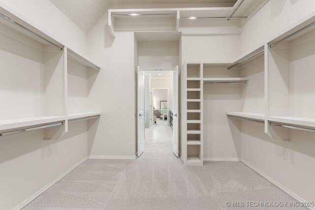 walk in closet with light colored carpet