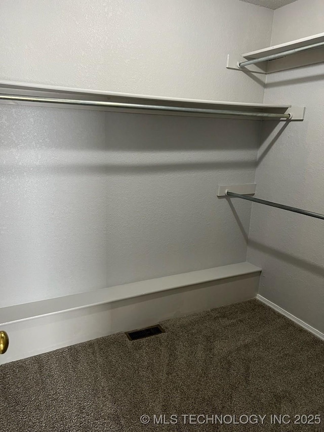 walk in closet with carpet flooring