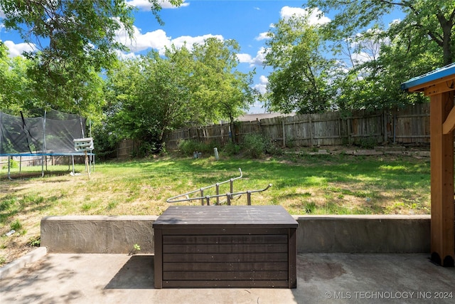 view of yard featuring a patio area and a trampoline