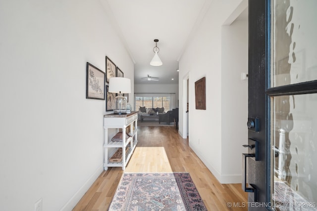 corridor featuring wood-type flooring and crown molding