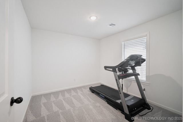 workout room featuring carpet flooring and a wealth of natural light