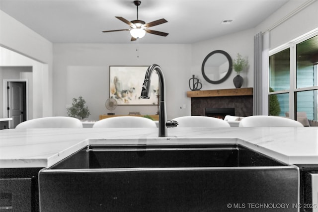 room details with sink and ceiling fan