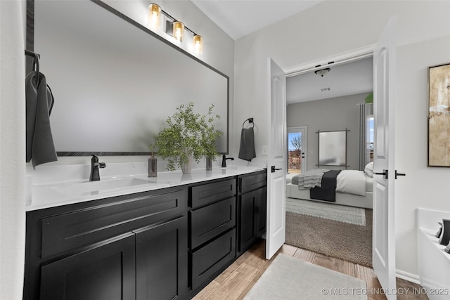 bathroom featuring vanity and wood-type flooring