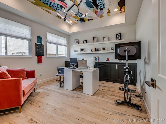 office space featuring a raised ceiling and light wood-type flooring