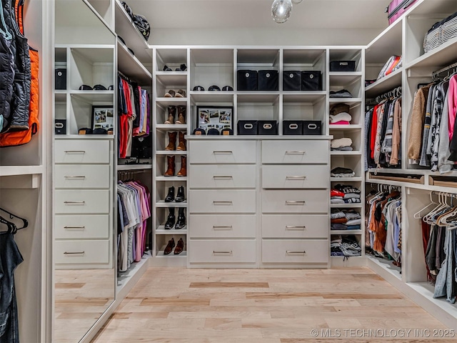 spacious closet featuring light hardwood / wood-style flooring