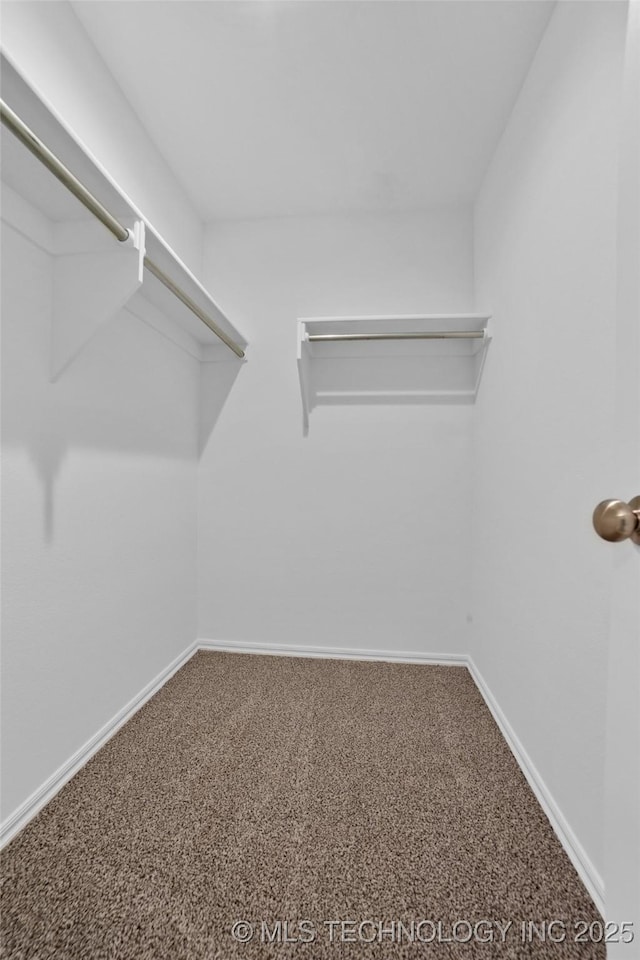 spacious closet with carpet