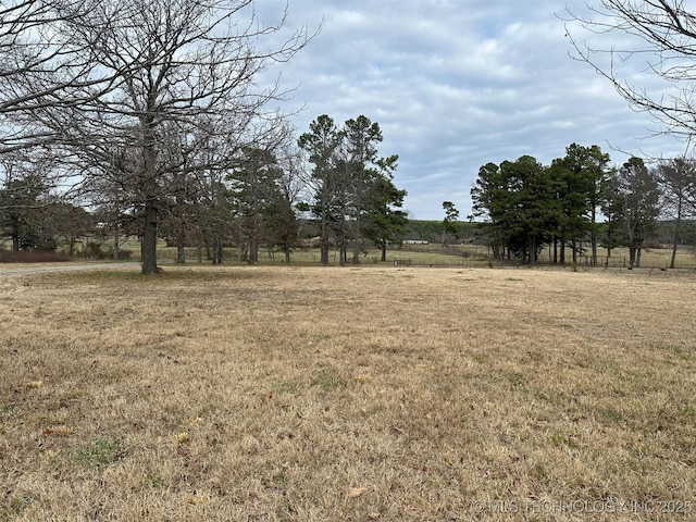 view of yard with a rural view