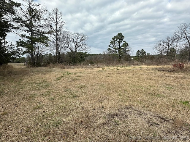 view of yard featuring a rural view