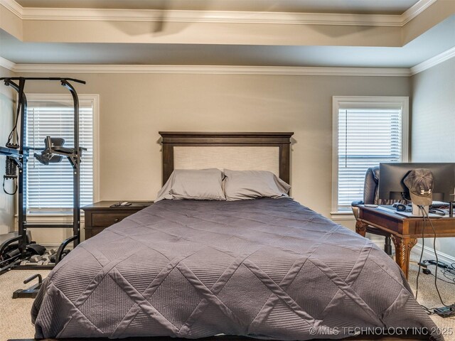 bedroom featuring multiple windows, crown molding, and a raised ceiling