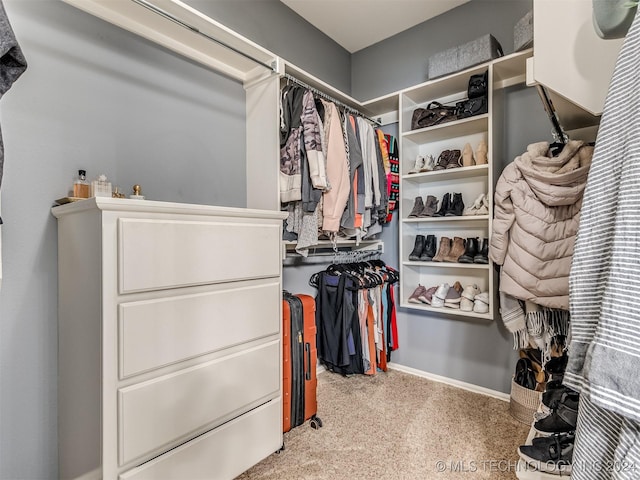 spacious closet featuring carpet flooring