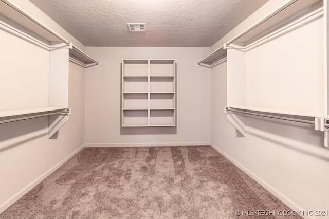 walk in closet featuring carpet