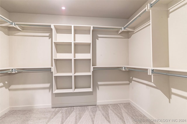 walk in closet with carpet floors