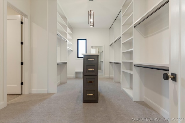 spacious closet featuring light colored carpet