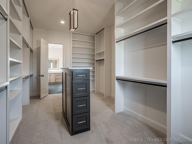 spacious closet featuring light carpet