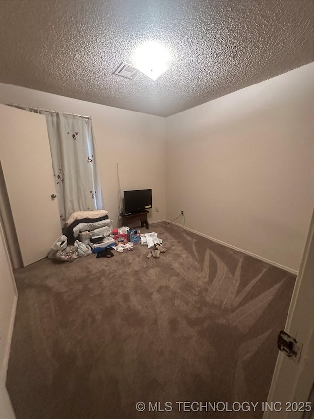 interior space with carpet and a textured ceiling