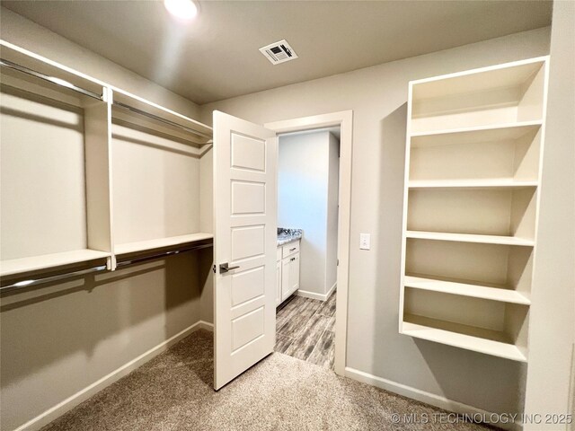 walk in closet featuring carpet floors