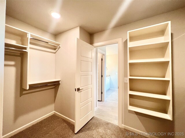 walk in closet with carpet