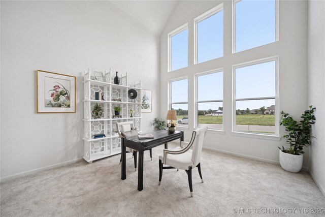 2509 E 134th Cir, Bixby, OK 74008 - office area featuring carpet and high vaulted ceiling