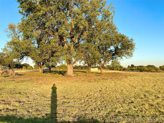 view of yard featuring a rural view